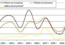 Sytuacja na rynku wiśni i jabłek przemysłowych w sezonie 2010/11 r.