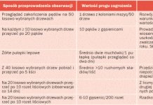Progi zagrożenia  Cz. III. Dla szkodników czereśni, wiśni i śliw