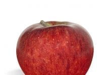 Nowe odmiany jabłoni odporne na parcha
