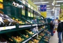 Choroby grusz – wirusy i inne patogeny przenoszone przez szczepienie