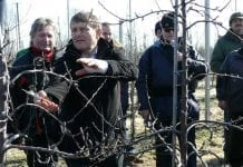 W Skowronkach o sadownictwie nad Jeziorem Bodeńskim