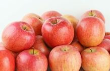 Majowe zapasy jabłek w Europie, zestawienie odmian w Polsce z niespodzianką!