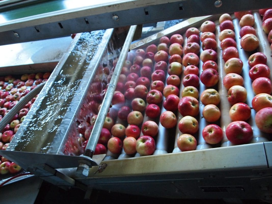 KZGPOiW odpowiada na apele i zarzuty w sprawie cen jabłek