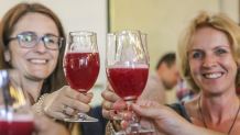 Krajowe Stowarzyszenie Plantatorów Czarnych Porzeczek wspiera piwowarów rzemieślniczych