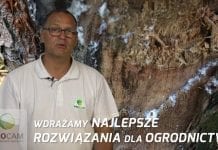 Komunikat sadowniczy – zalecenia PROCAM z 11.07.2017