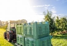 Umowa o pomocy przy zbiorach – jest projekt ustawy