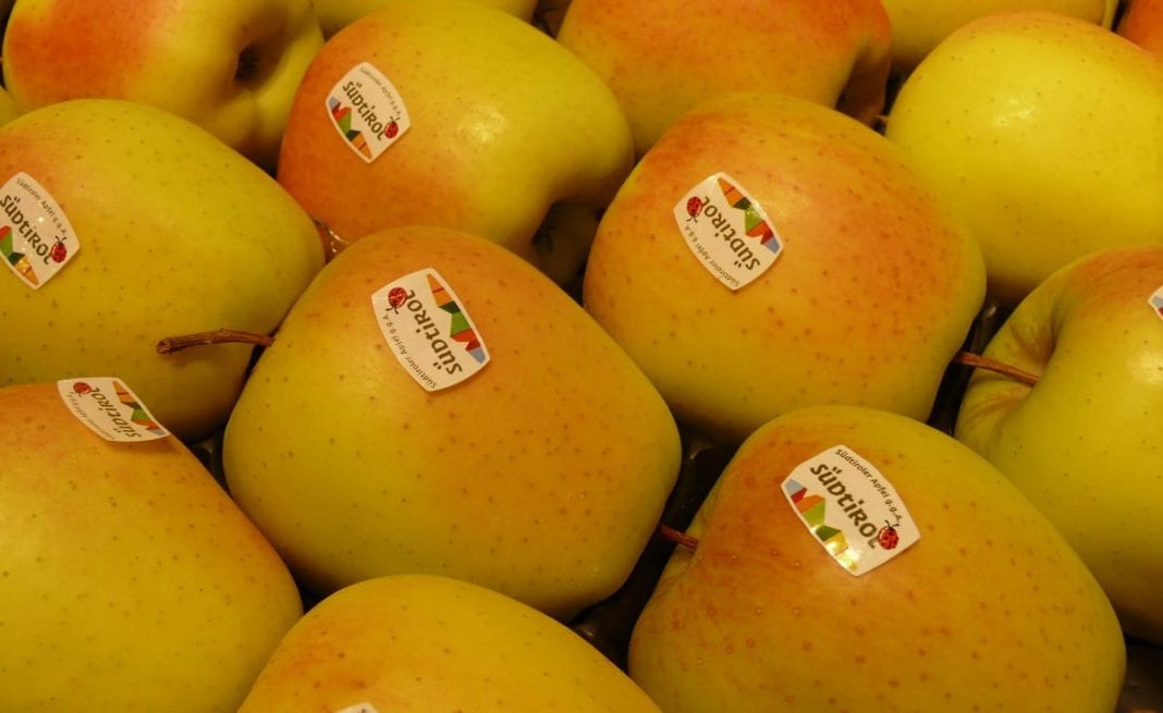 Stagnacja cen jabłek w Południowym Tyrolu