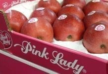 Jabłka Pink Lady