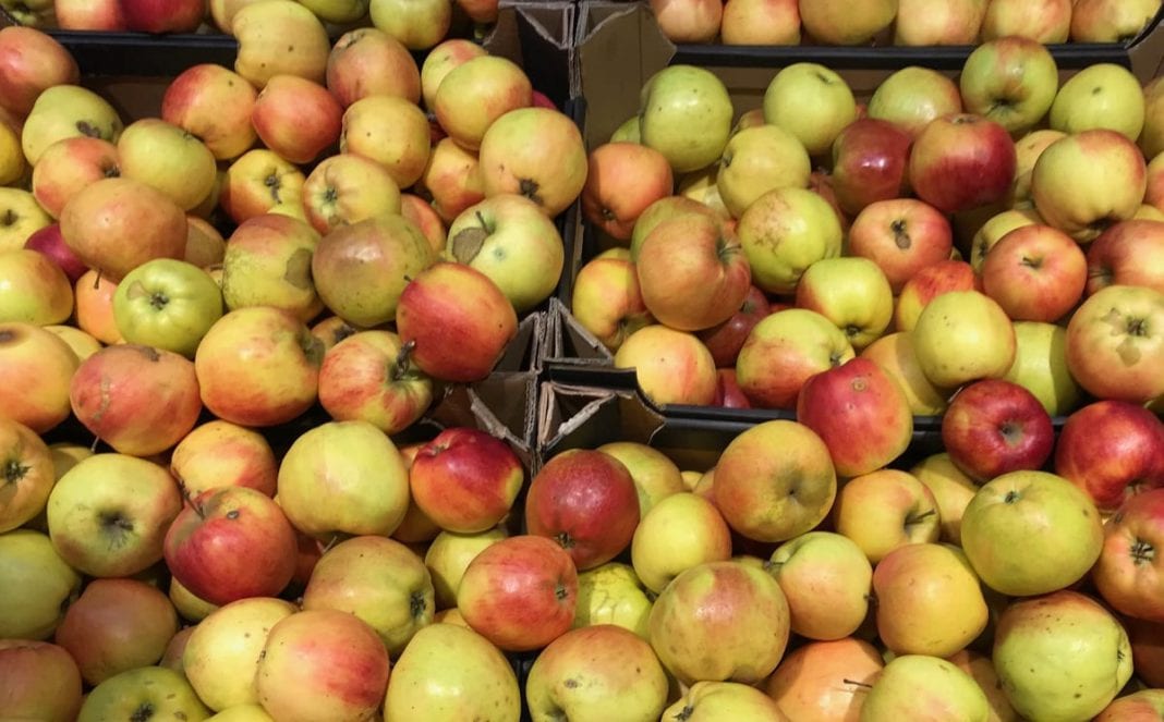 Mołdawia: jakość jabłek wyraźnie się pogorszyła