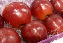 Włochy: aktualne ceny jabłek na rynku hurtowym
