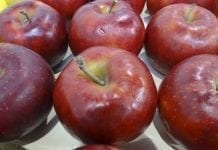 WAPA: stan zapasów jabłek w Europie na dzień 1.12.2019