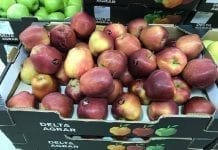 Ceny jabłek w serbskich marketach – początek grudnia