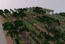 AcquaCampus – innowacje w nawadnianiu