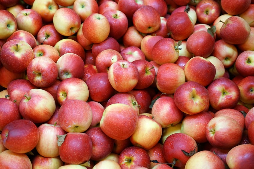 Rosną ceny jabłek w Rosji – liderami Gala i Golden Delicious