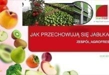 Czy warto długo przechowywać jabłka w tym sezonie?