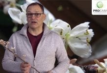 Komunikat sadowniczy PROCAM z 20.03.2018