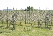Rosja: produkcja rośnie, rośnie import