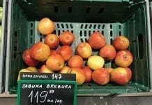 Ceny jabłek w Serbii. Ile kosztują polskie?