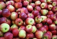 WAPA: zapasy jabłek w Europie w kwietniu