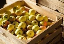 Hurtowe ceny jabłek i gruszek w czwartym tygodniu kwietnia