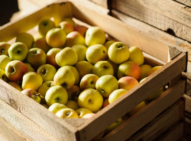 Hurtowe ceny jabłek i gruszek w czwartym tygodniu kwietnia