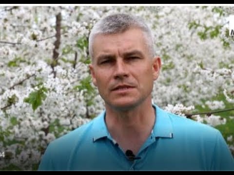 Komunikat sadowniczy z 23.04.2018 – ochrona w kwitnienie