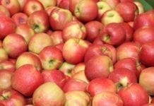 Czesi grożą polskim eksporterom embargiem – m.in. na jabłka