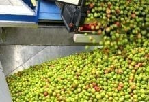 Eskimos podpisze umowy kredytowe na realizację interwencyjnego skupu jabłek