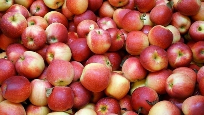 Wańka wstańka – czyli wraca białoruski eksport jabłek do Rosji