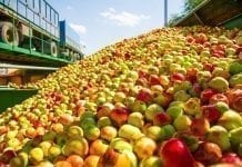 Eskimos: będziemy zachęcać sadowników do opóźniania dostaw jabłek