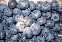 Preparaty biologiczne zawierające grzyby