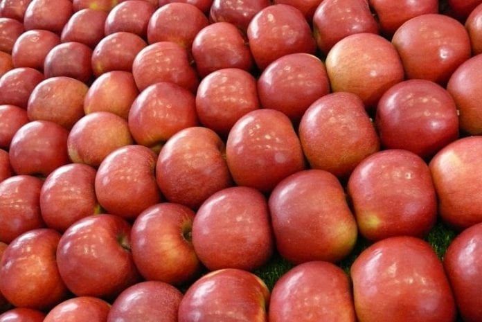 Ile jabłek zbierze Chile?