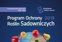 Dopuszczone do obrotu po ukazaniu się PORS w wersji tradycyjnej