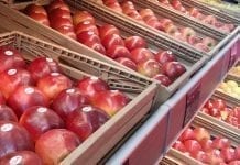 Ceny jabłek na koniec grudnia