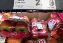 Analiza zbiorów jabłek Pink Lady w 2018 roku