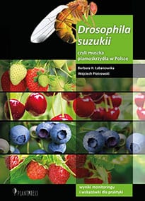 Drosophila suzukii, czyli muszka plamoskrzydła w Polsce