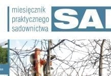W najnowszym MPS SAD – 2/2019