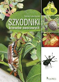 Szkodniki krzewów owocowych