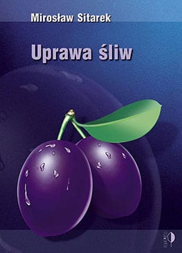 Uprawa śliw