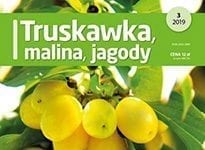 Truskawka, malina, jagody 3/2019