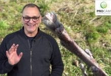 Komunikat sadowniczy zalecenia PROCAM z 19.03.2019