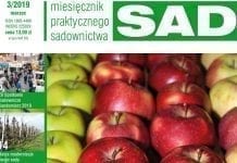 W najnowszym MPS SAD – 3/2019