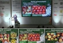 Polskie jabłka oczami sieci handlowych i eksporterów