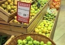 Jakie jabłka można kupić w Kaliningradzie?