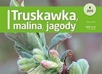 Truskawka, malina, jagody 4/2019