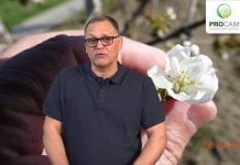 Komunikat Sadowniczy zalecenia PROCAM z dnia 16.04.2019