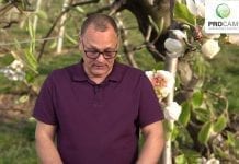 Komunikat Sadowniczy zalecenia PROCAM z 23.04.2019