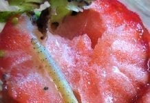 Na raz sztuka, czyli „jak szybko stracić klienta”?
