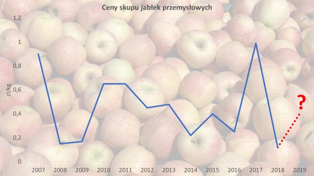 Ceny jabłek muszą pójść w górę, ale to zależy od sadowników! – Arkadiusz Gaik