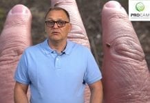 Komunikat jagodowy Procam 2 maja 2019